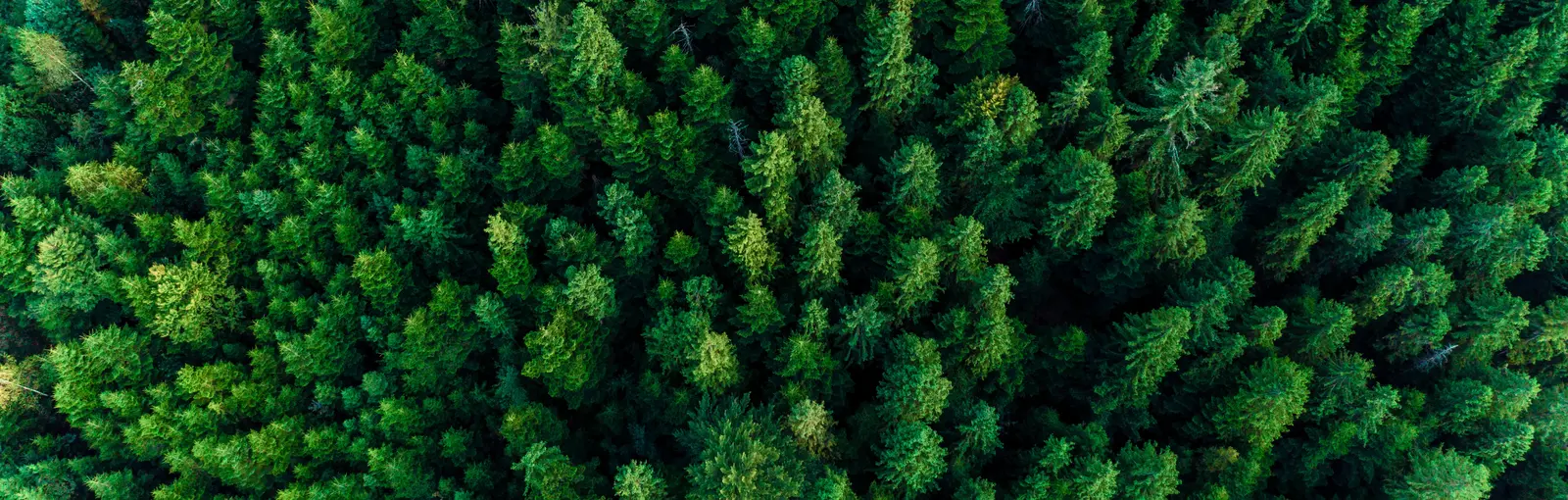 Nachhaltigkeit bei AUCOTEC