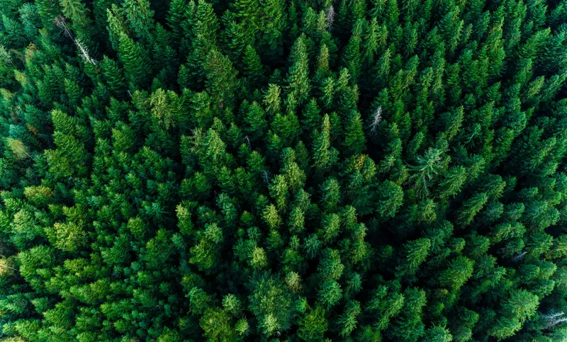 Nachhaltigkeit bei AUCOTEC