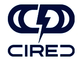 CIRED 2025